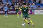 记者：朴镇燮参加世界杯，浙江队将获得国际足联的补偿金