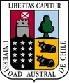 智利南方大学U21