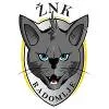 ZNK拉多姆耶